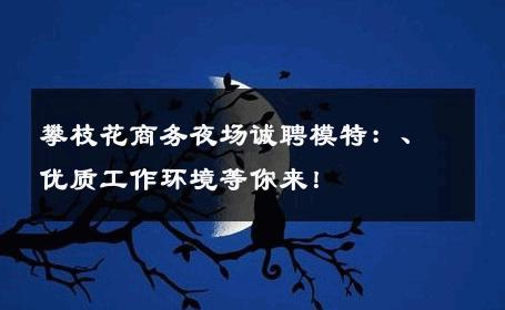 攀枝花商务夜场诚聘模特：、优质工作环境等你来！