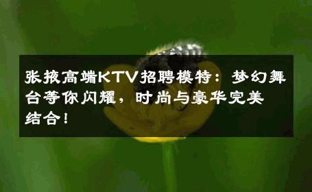 张掖高端KTV招聘模特：梦幻舞台等你闪耀，时尚与豪华完美结合！