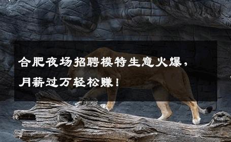 合肥夜场招聘模特生意火爆，月薪过万轻松赚！