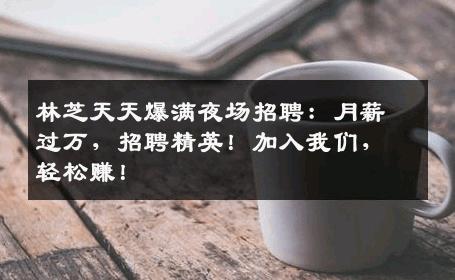 林芝天天爆满夜场招聘：月薪过万，招聘精英！加入我们，轻松赚！