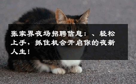 张家界夜场招聘信息：、轻松上手，抓住机会开启你的夜新人生！