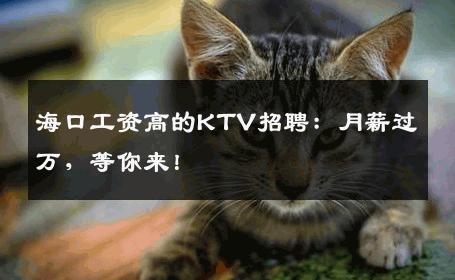 海口工资高的KTV招聘：月薪过万，等你来！