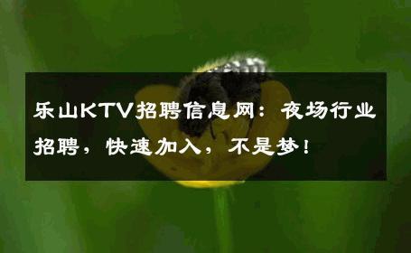 乐山KTV招聘信息网：夜场行业招聘，快速加入，不是梦！