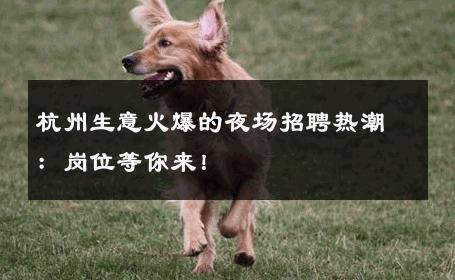 杭州生意火爆的夜场招聘热潮：岗位等你来！