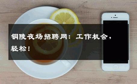 铜陵夜场招聘网：工作机会，轻松！