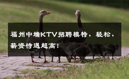 福州中端KTV招聘模特，轻松，薪资待遇超高！