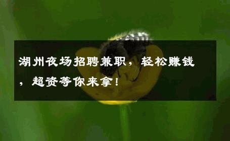 湖州夜场招聘兼职，轻松赚钱，超资等你来拿！