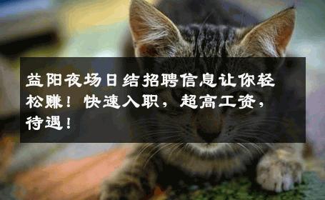 益阳夜场日结招聘信息让你轻松赚！快速入职，超高工资，待遇！