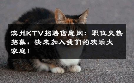 滨州KTV招聘信息网：职位火热招募，快来加入我们的欢乐大家庭！