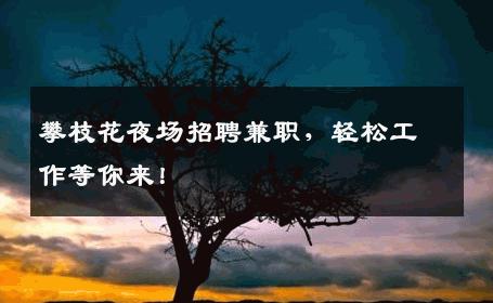 攀枝花夜场招聘兼职，轻松工作等你来！