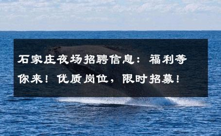 石家庄夜场招聘信息：福利等你来！优质岗位，限时招募！