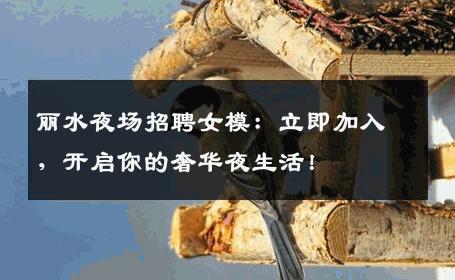 丽水夜场招聘女模：立即加入，开启你的奢华夜生活！