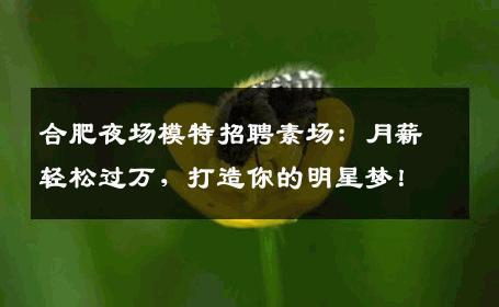合肥夜场模特招聘素场：月薪轻松过万，打造你的明星梦！