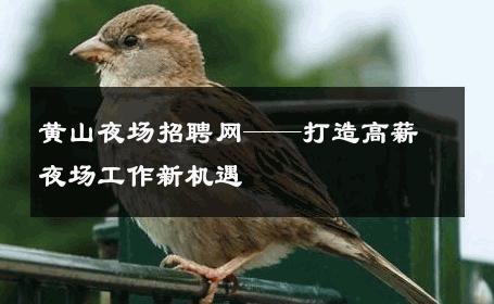 黄山夜场招聘网——打造高薪夜场工作新机遇