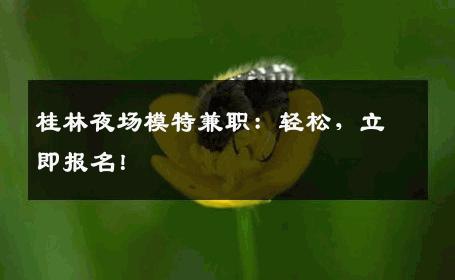 桂林夜场模特兼职：轻松，立即报名！