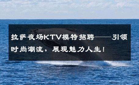 拉萨夜场KTV模特招聘——引领时尚潮流，展现魅力人生！
