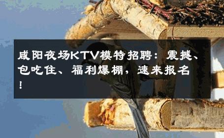 咸阳夜场KTV模特招聘：震撼、包吃住、福利爆棚，速来报名！