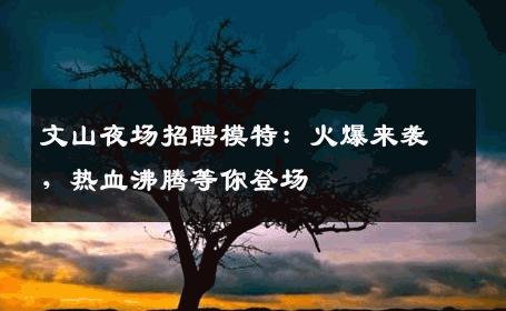 文山夜场招聘模特：火爆来袭，热血沸腾等你登场