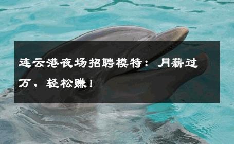 连云港夜场招聘模特：月薪过万，轻松赚！