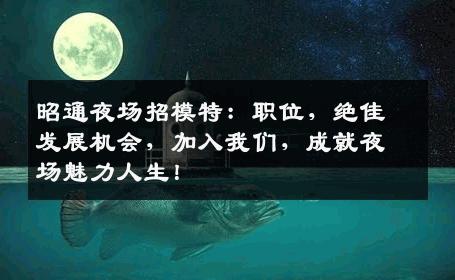 昭通夜场招模特：职位，绝佳发展机会，加入我们，成就夜场魅力人生！