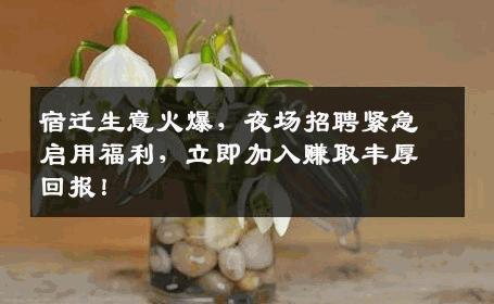 宿迁生意火爆，夜场招聘紧急启用福利，立即加入赚取丰厚回报！
