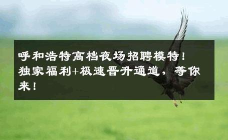 呼和浩特高档夜场招聘模特！独家福利+极速晋升通道，等你来！