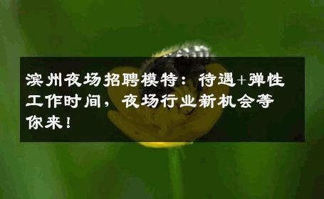 滨州夜场招聘模特：待遇+弹性工作时间，夜场行业新机会等你来！