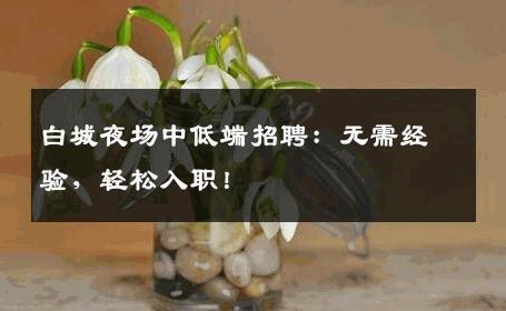 白城夜场中低端招聘：无需经验，轻松入职！