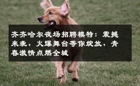 齐齐哈尔夜场招聘模特：震撼来袭，火爆舞台等你绽放，青春激情点燃全城