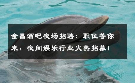 金昌酒吧夜场招聘：职位等你来，夜间娱乐行业火热招募！