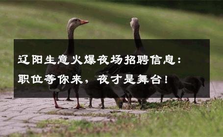 辽阳生意火爆夜场招聘信息：职位等你来，夜才是舞台！