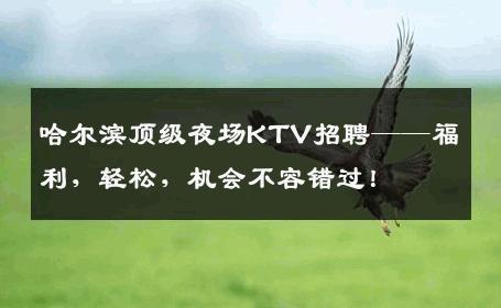 哈尔滨顶级夜场KTV招聘——福利，轻松，机会不容错过！