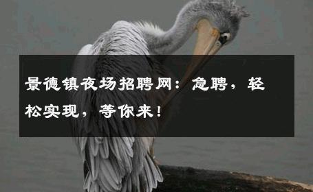 景德镇夜场招聘网：急聘，轻松实现，等你来！