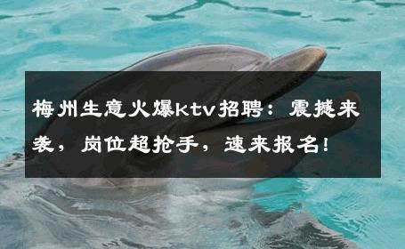 梅州生意火爆ktv招聘：震撼来袭，岗位超抢手，速来报名！