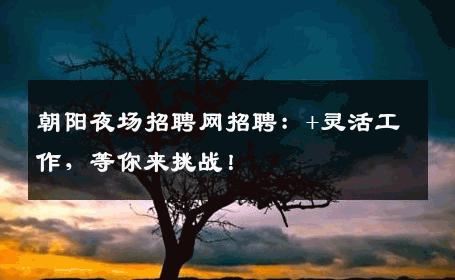 朝阳夜场招聘网招聘：+灵活工作，等你来挑战！