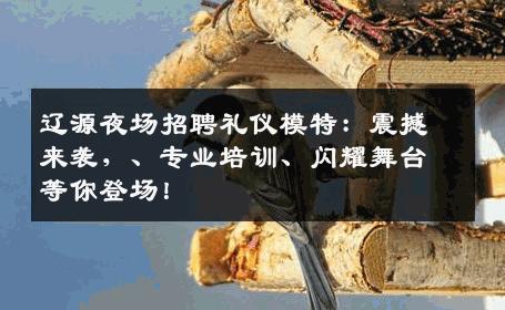 辽源夜场招聘礼仪模特：震撼来袭，、专业培训、闪耀舞台等你登场！