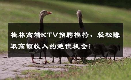 桂林高端KTV招聘模特，轻松赚取高额收入的绝佳机会！