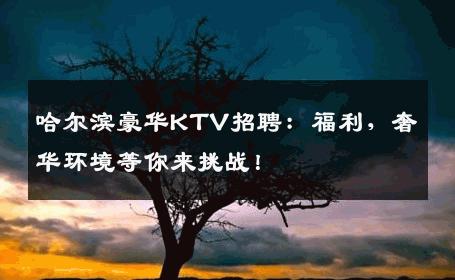 哈尔滨豪华KTV招聘：福利，奢华环境等你来挑战！