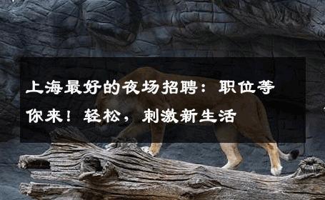 上海最好的夜场招聘：职位等你来！轻松，刺激新生活