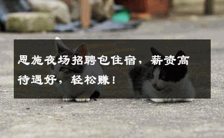 恩施夜场招聘包住宿，薪资高待遇好，轻松赚！
