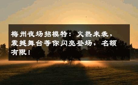 梅州夜场招模特：火热来袭，震撼舞台等你闪亮登场，名额有限！