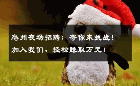 亳州夜场招聘：等你来挑战！加入我们，轻松赚取万元！