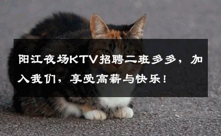 阳江夜场KTV招聘二班多多，加入我们，享受高薪与快乐！