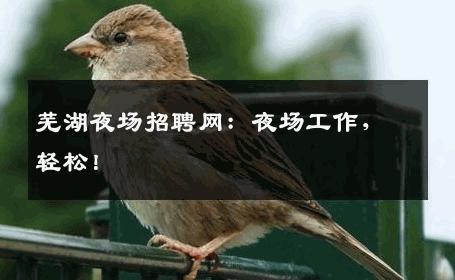 芜湖夜场招聘网：夜场工作，轻松！