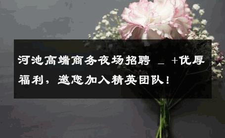 河池高端商务夜场招聘 _ +优厚福利，邀您加入精英团队！