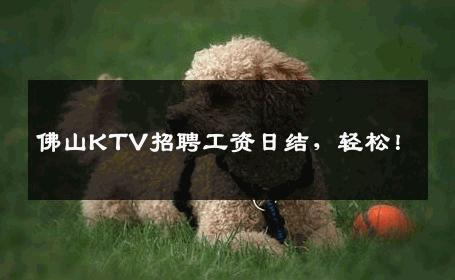 佛山KTV招聘工资日结，轻松！