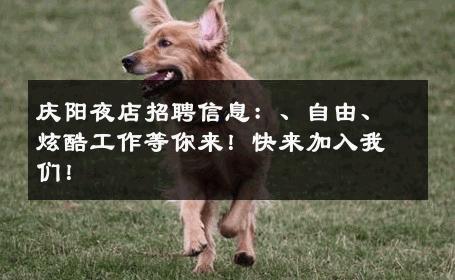 庆阳夜店招聘信息：、自由、炫酷工作等你来！快来加入我们！