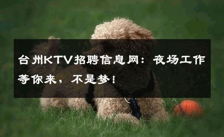 台州KTV招聘信息网：夜场工作等你来，不是梦！