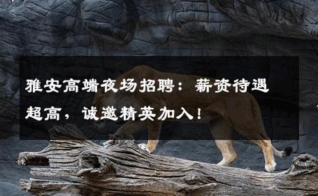 雅安高端夜场招聘：薪资待遇超高，诚邀精英加入！