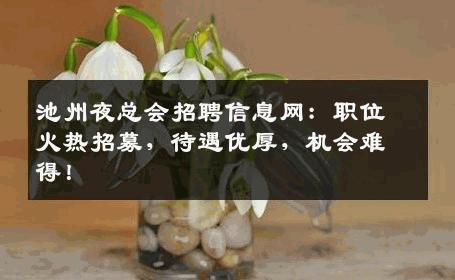 池州夜总会招聘信息网：职位火热招募，待遇优厚，机会难得！